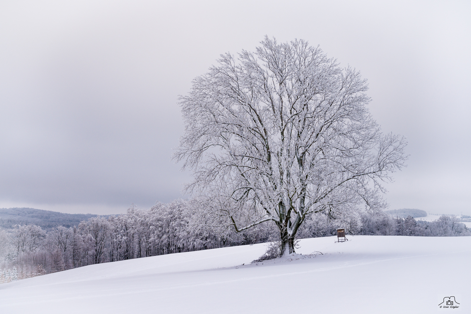 Ein Wintertraum