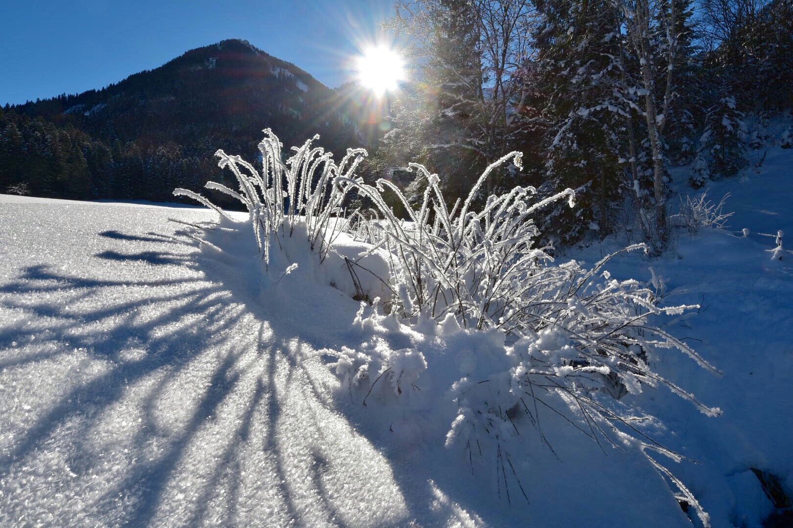 Ein Wintertraum