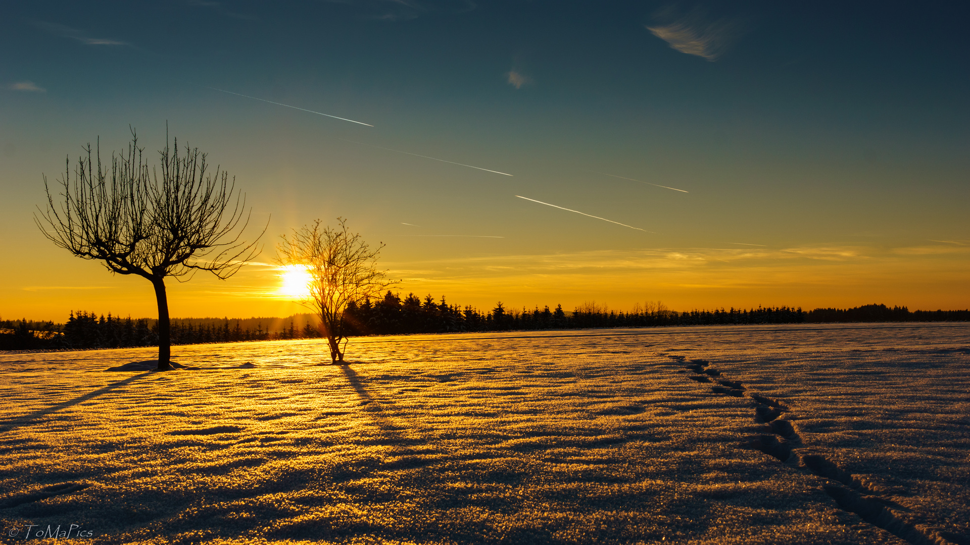 Ein Wintertraum