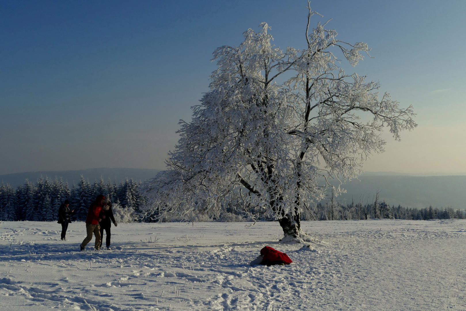 Ein Wintertraum