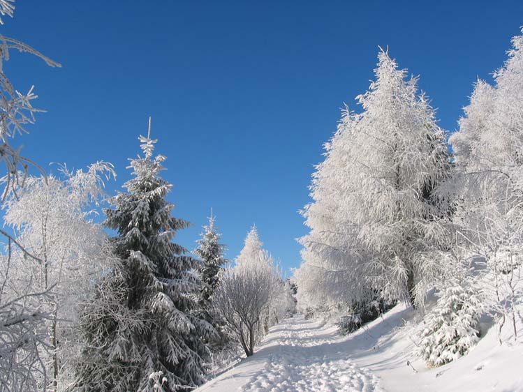 ein Wintertraum von Ulrich Reichardt