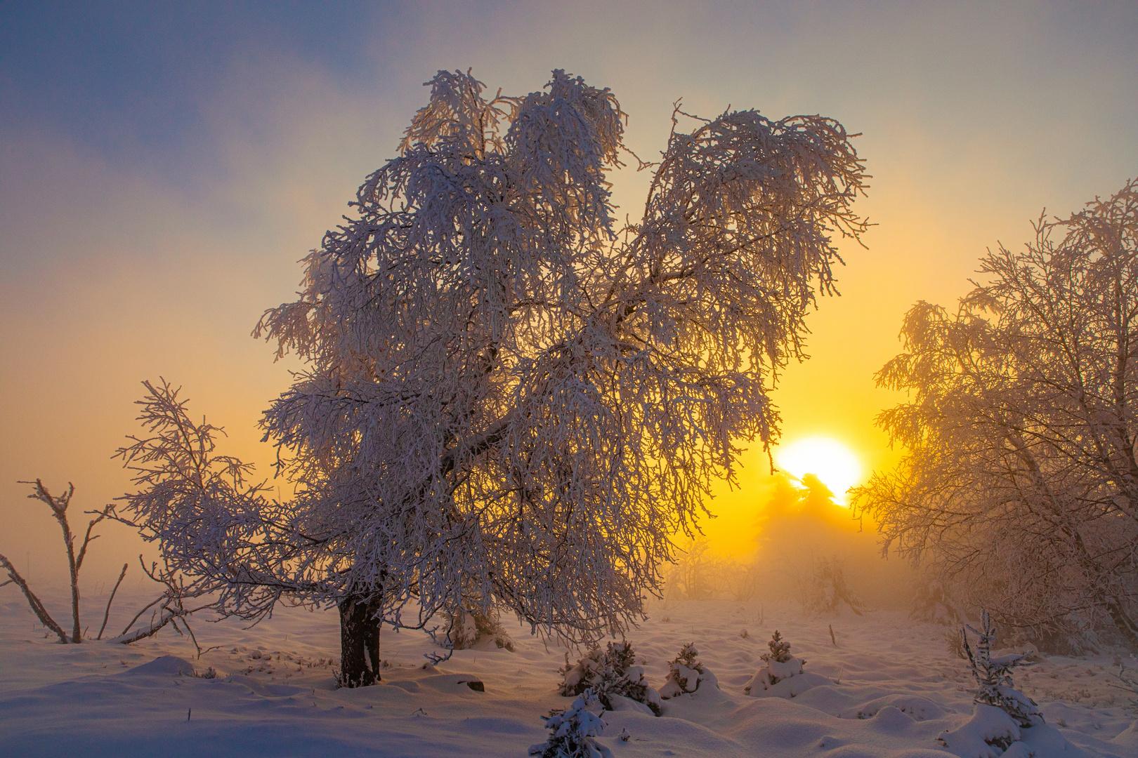 Ein Wintertraum geht in Erfüllung