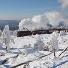 ein Wintertraum im weiß und schwarz