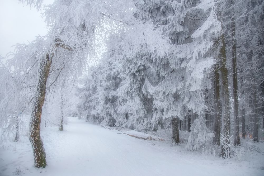 Ein Winterweg