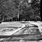 ein Winterweg