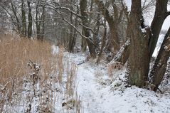 Ein Winterweg