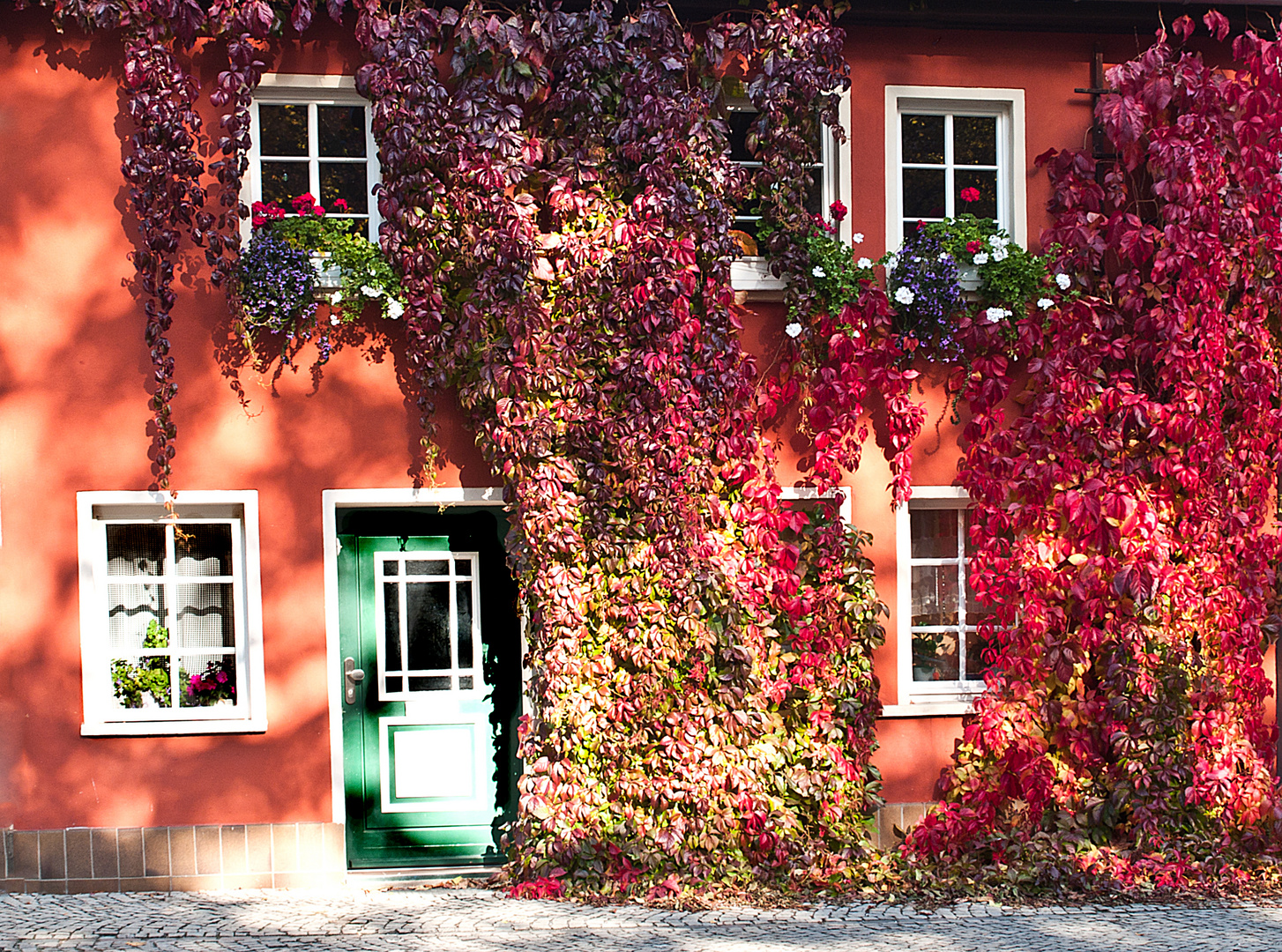 Ein Wohnhaus in voller Farbenpracht