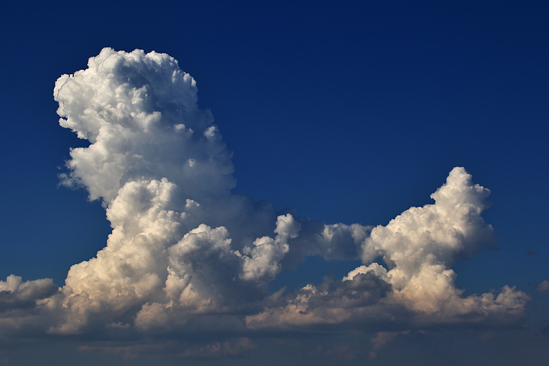 ein Wolken-Löwe.........