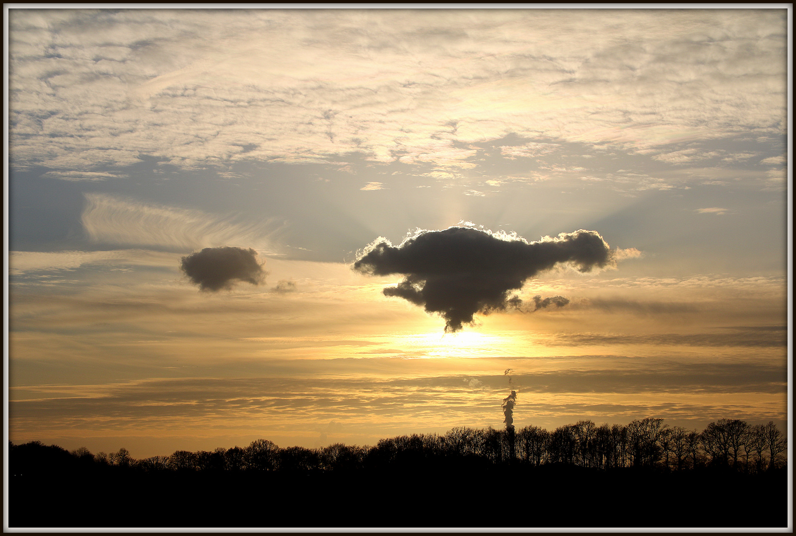 Ein Wolken T-Rex auf der Jagd nach Schäfchenwolken