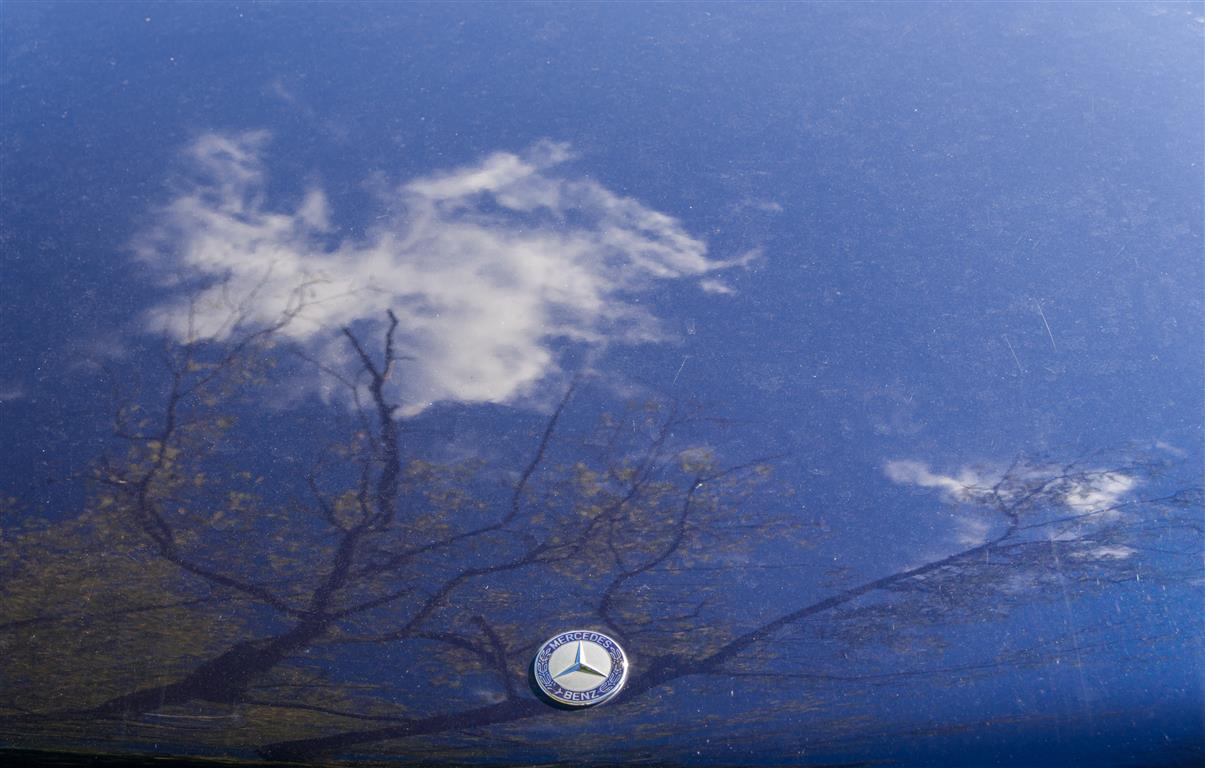 Ein Wolkenbaum auf der Motorhaube