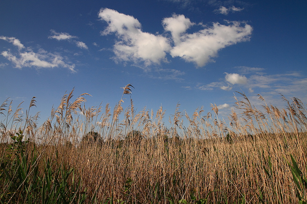 ...ein Wolkenherz....