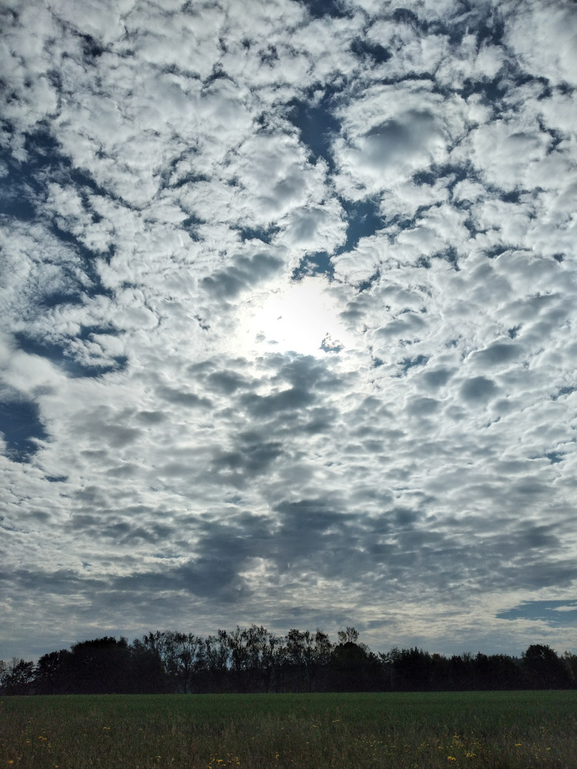 Ein Wolkenmeer, wohin das Auge reicht...