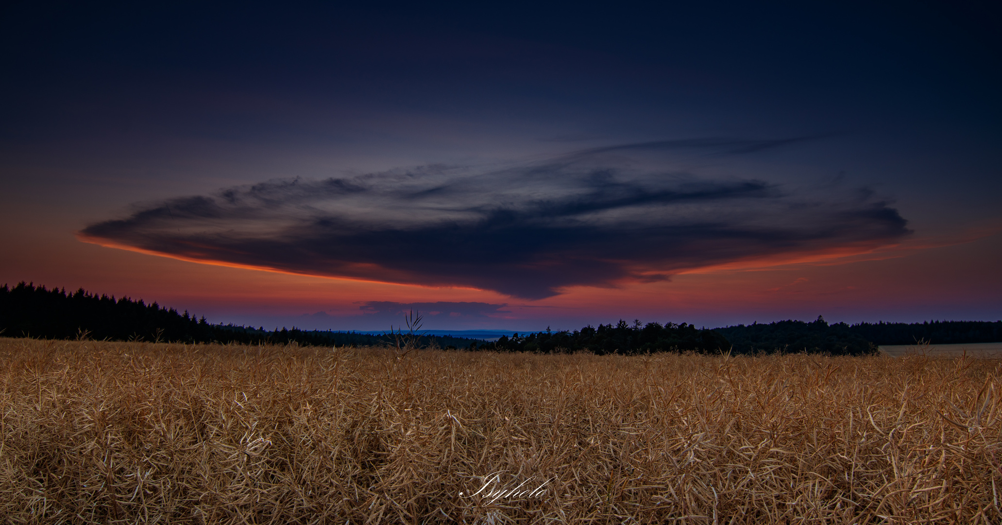 Ein Wolkenpilz im Sonnenuntergang