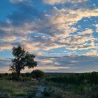 ein wolkiger Abend im September