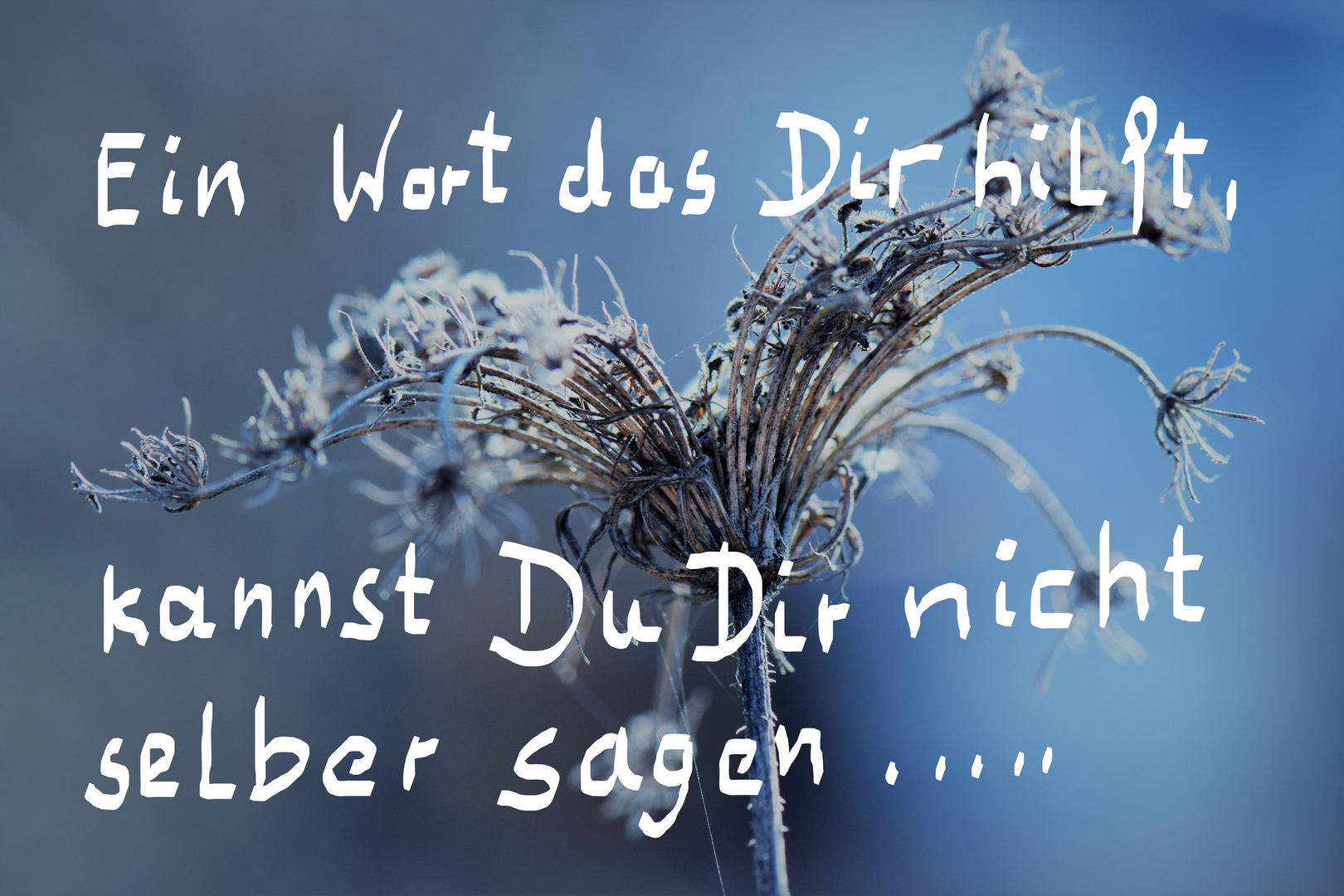 Ein Wort, das Dir hilft .......