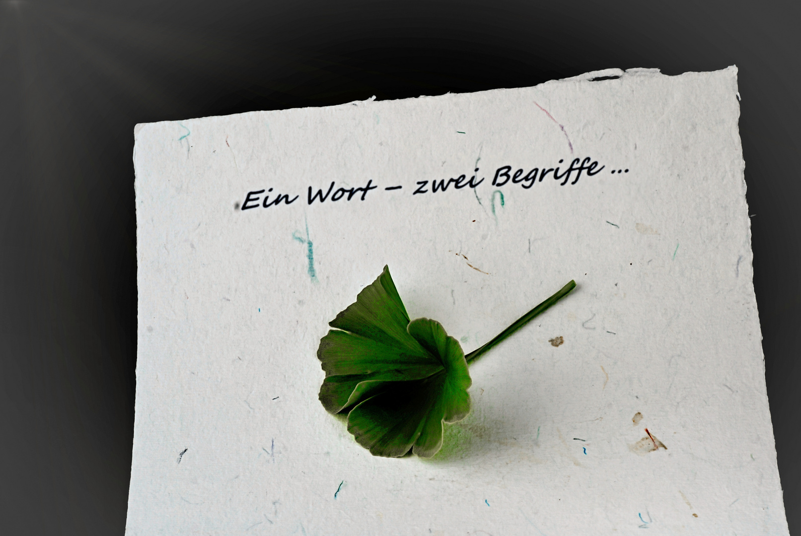 Ein Wort - zwei Begriffe