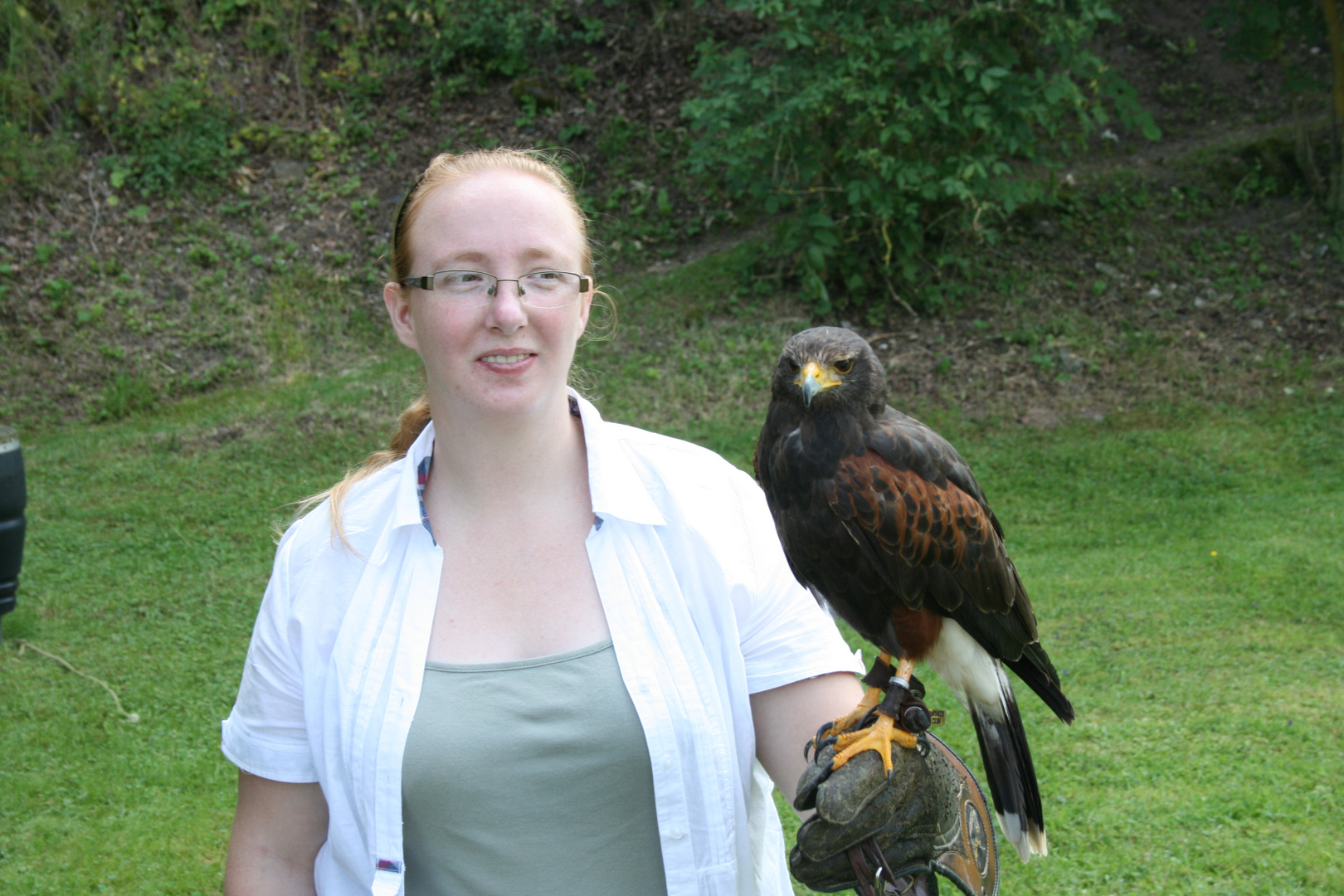 Ein Wüstenbussard und Ich