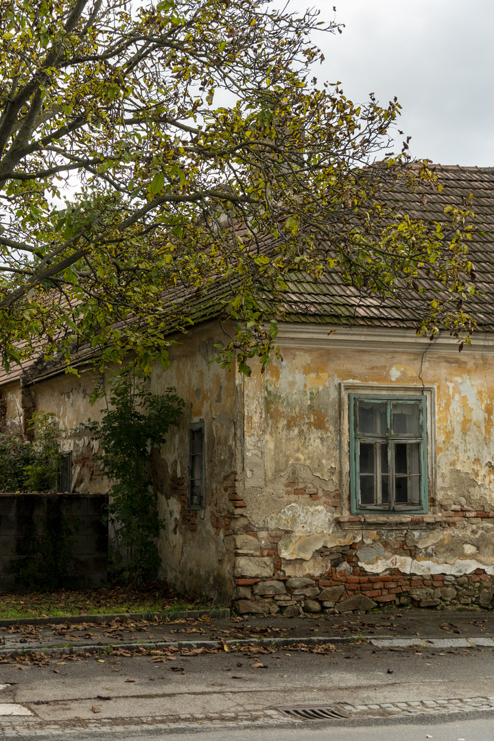 EIN WUNDER DASS DAS HAUS HÄLT