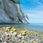 Ein Wunder der Natur! Mön's Klint