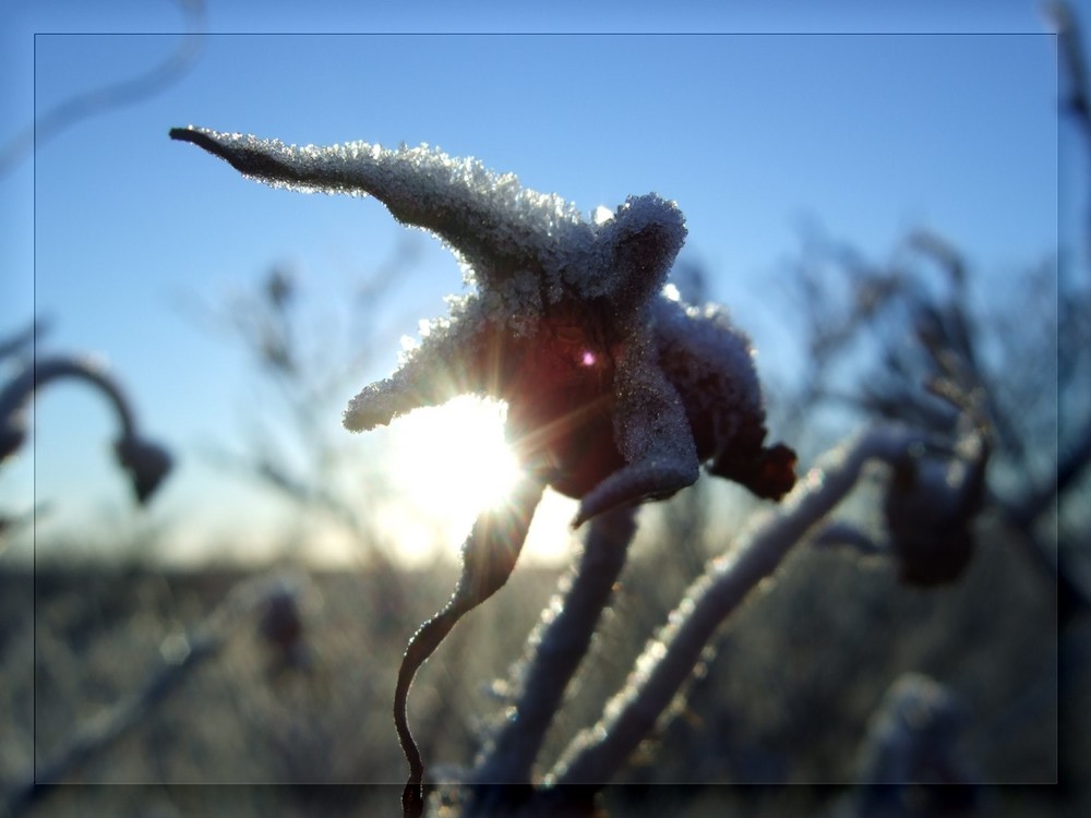 ...ein wunderbar kalter Wintermorgen...