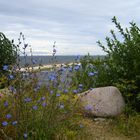 Ein wunderbarer Ausblick