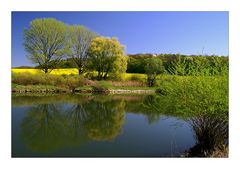 - Ein wunderbarer Frühling -