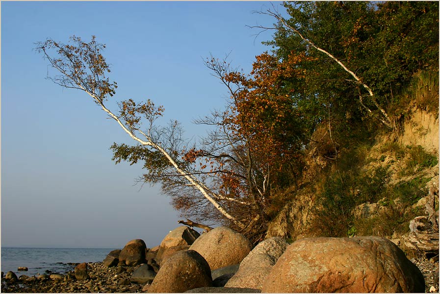 Ein wunderbarer Herbst..