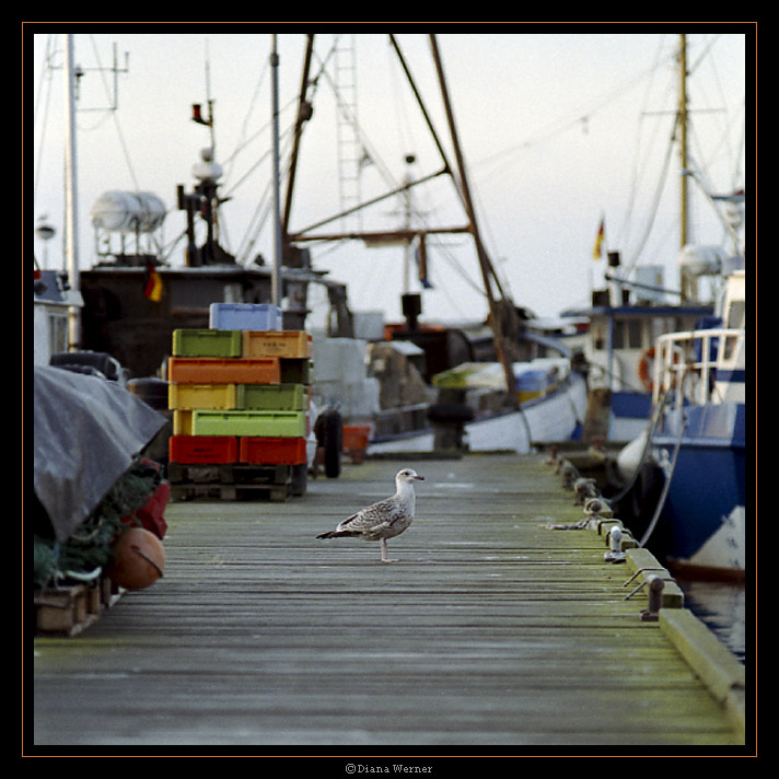 Ein wunderbarer Morgen im Saßnitzer Hafen