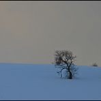 Ein wunderbarer Sonntag