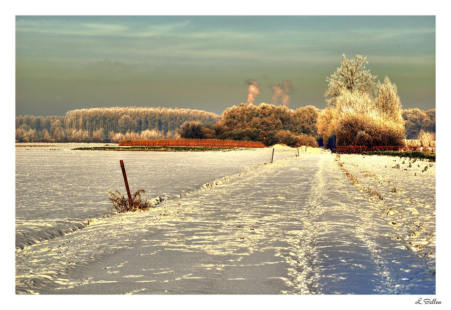" Ein wunderschöne Wintertag "