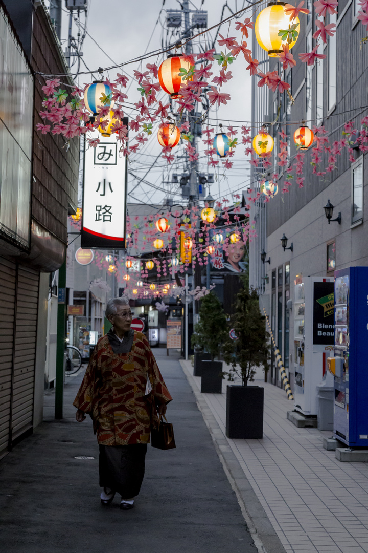 Ein wunderschöner Abend in Hirosaki 