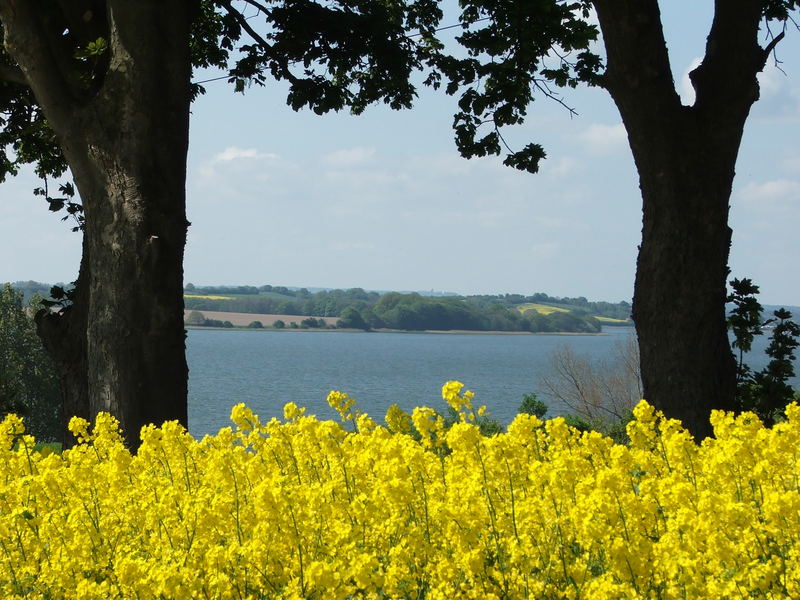 Ein wunderschöner Blick auf die Schlei.