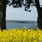 Ein wunderschöner Blick auf die Schlei.