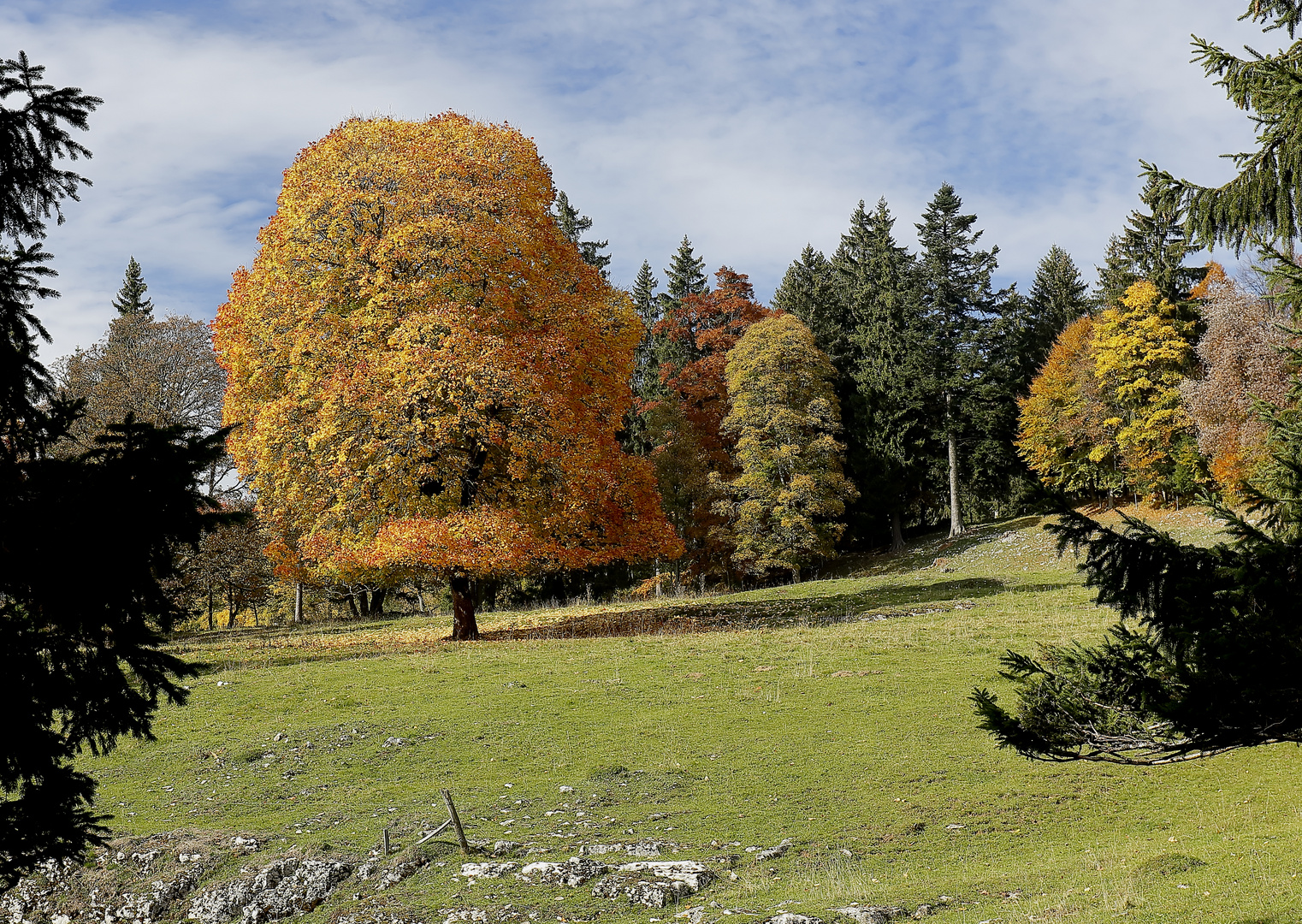 Ein wunderschöner Herbst!