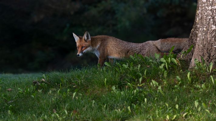 Ein wunderschöner Herbstanfang, damals, wie heute