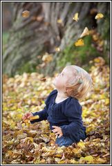 Ein wunderschöner Herbsttag 1