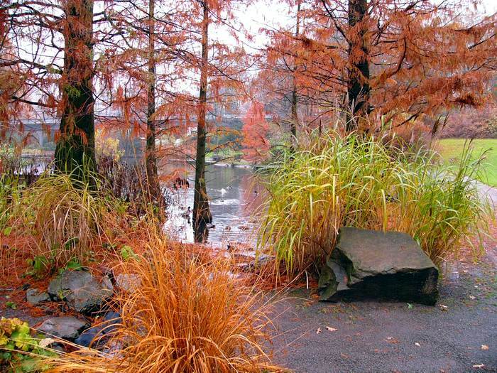 Ein wunderschöner Herbsttag (2)