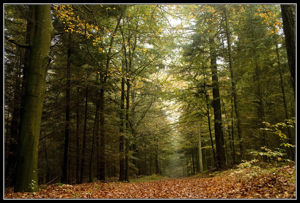 Ein wunderschöner Herbsttag...