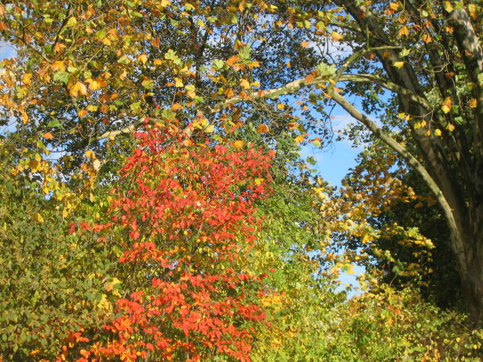 Ein wunderschöner Herbsttag