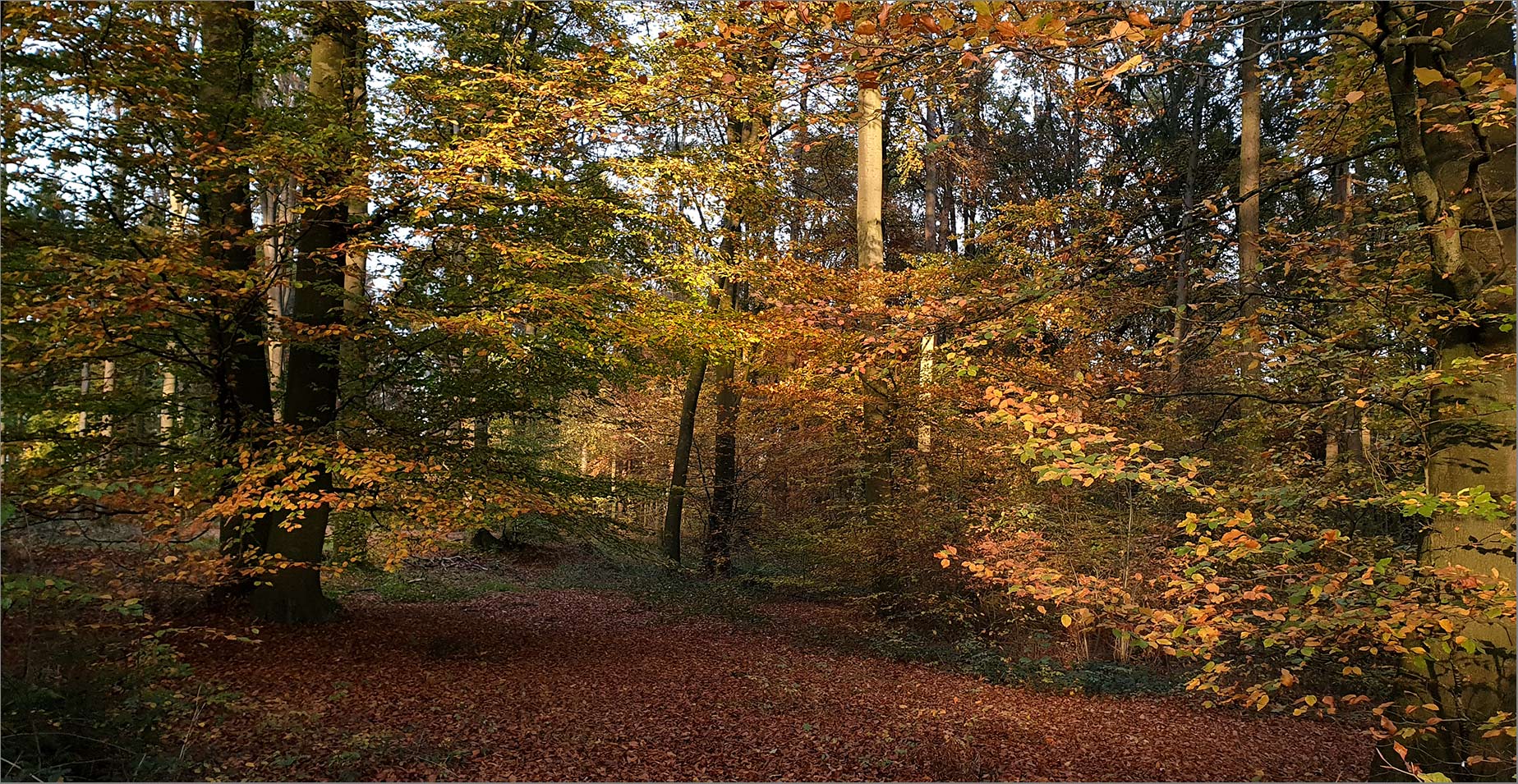 Ein wunderschöner Herbsttag   . . .