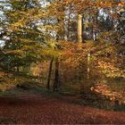 Ein wunderschöner Herbsttag   . . .