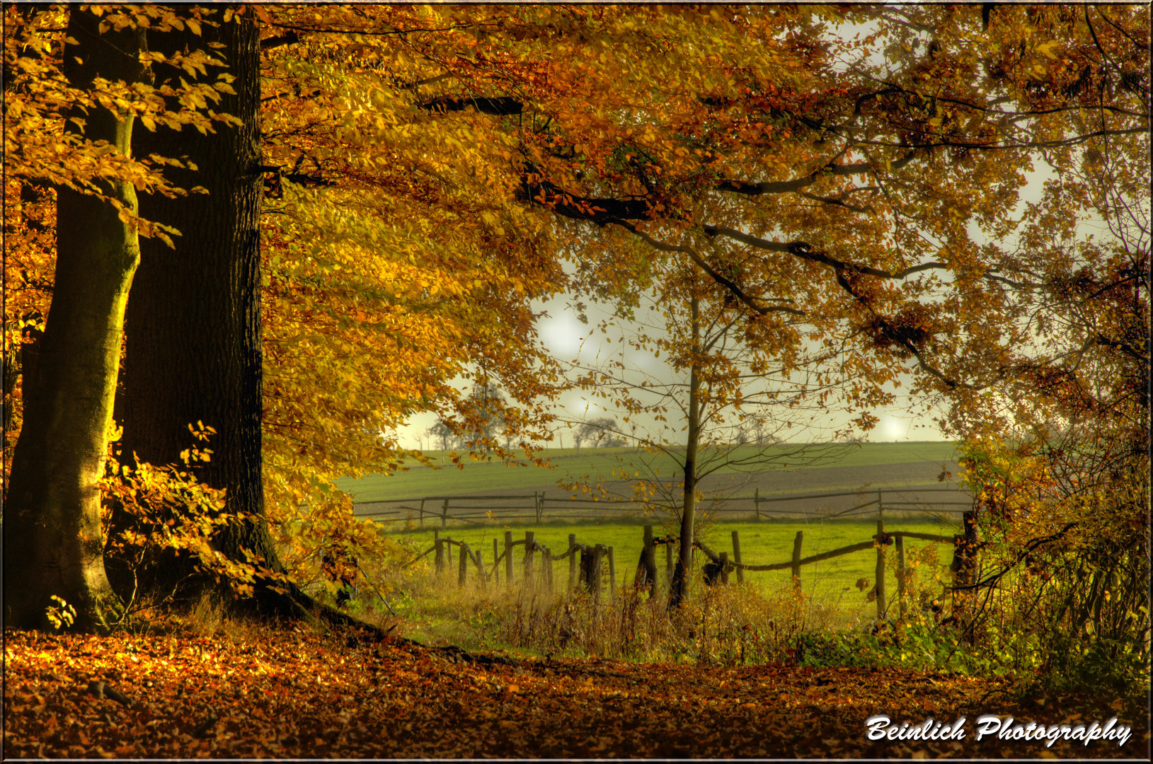 Ein wunderschöner Herbsttag :-)