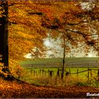 Ein wunderschöner Herbsttag :-)