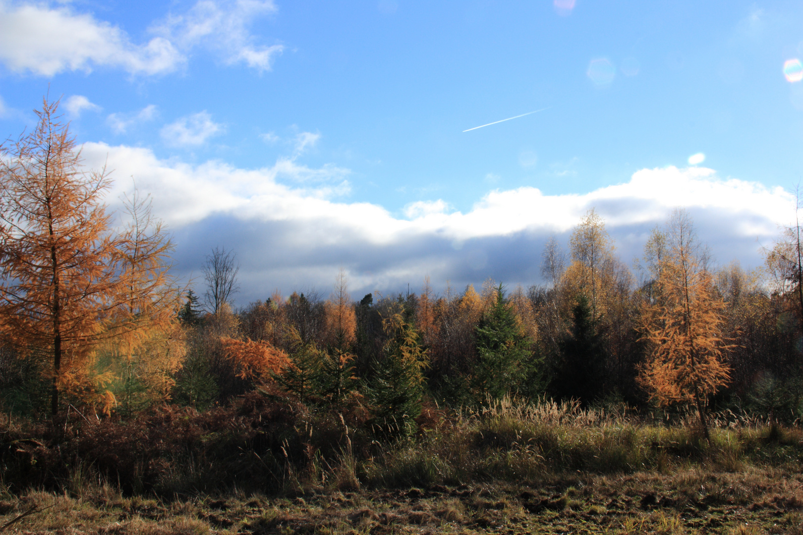 Ein wunderschöner Herbsttag