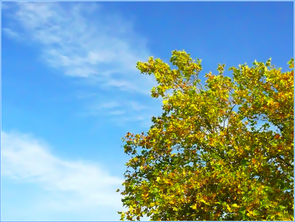 Ein wunderschöner Herbsttag