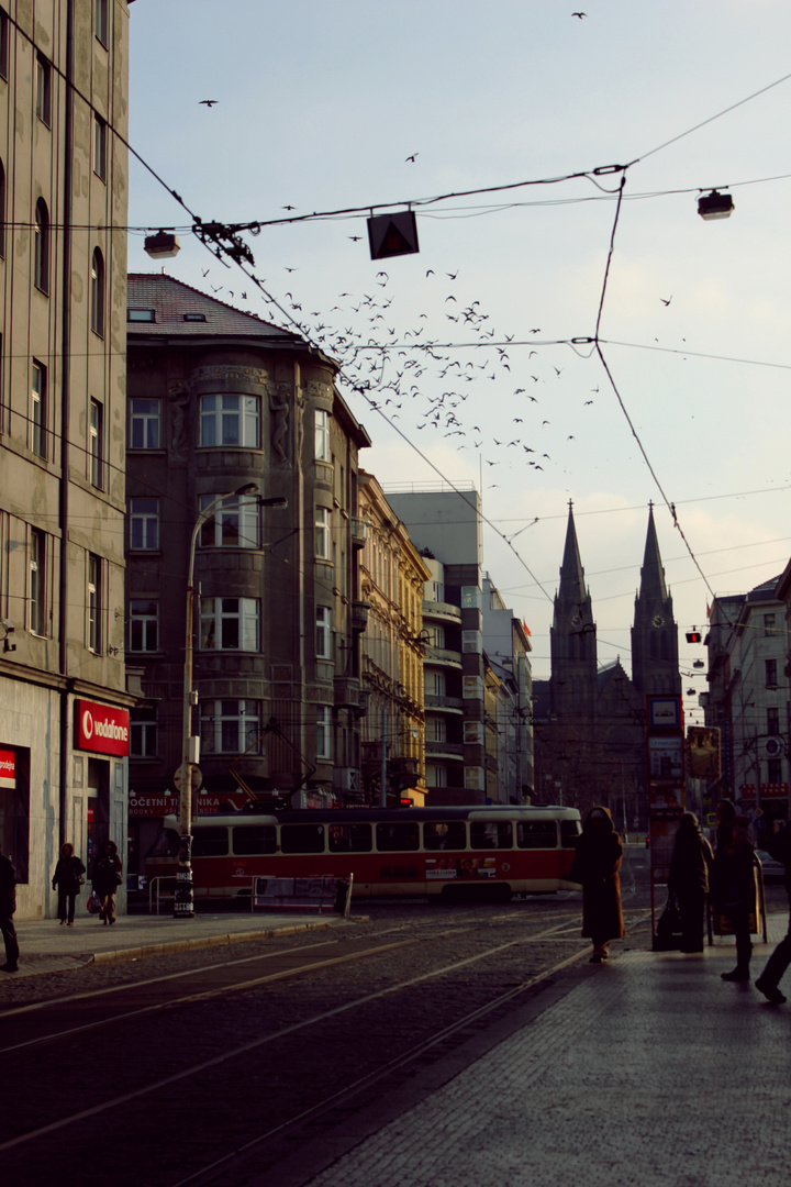 Ein wunderschöner Morgen