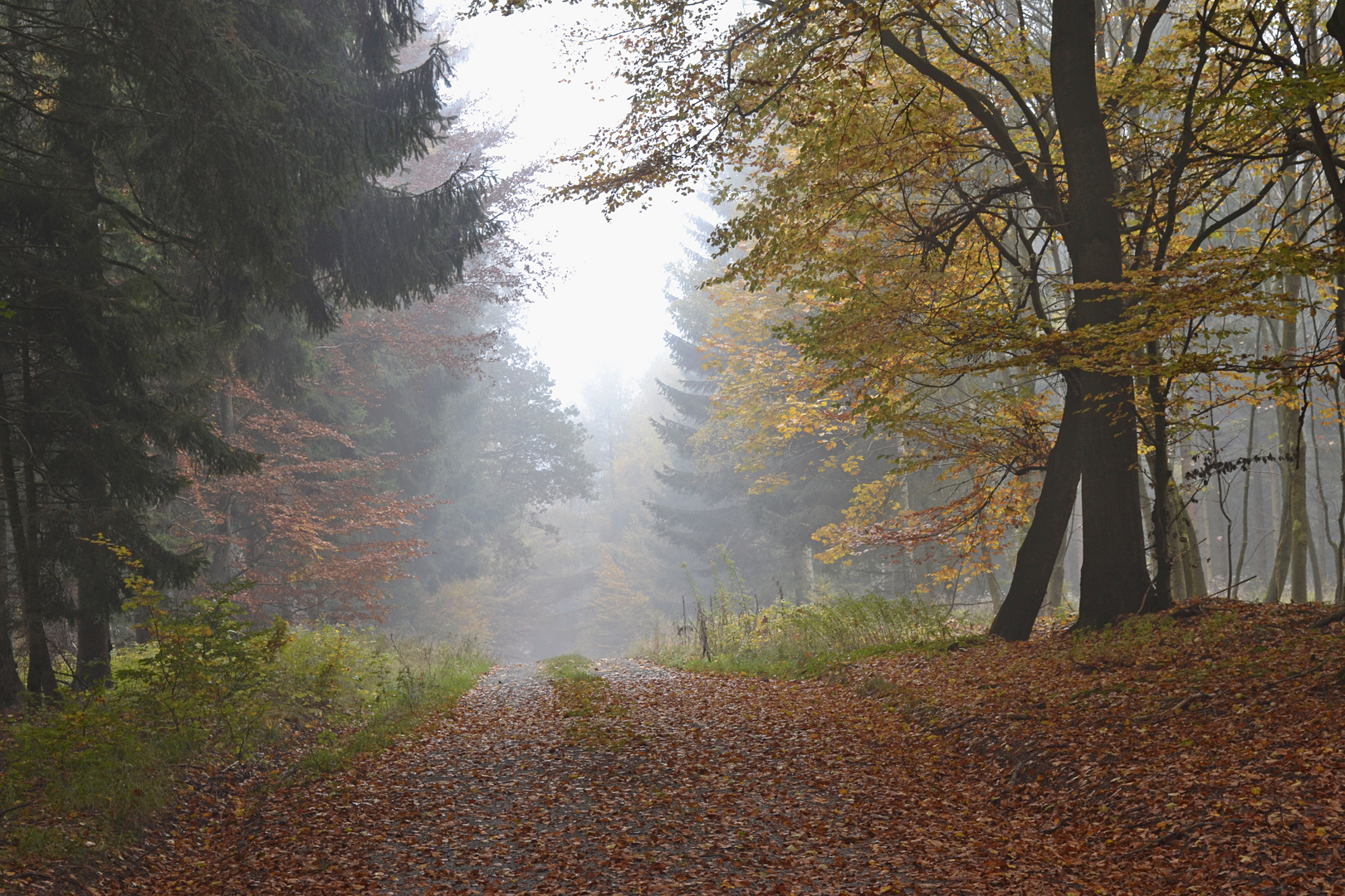 ein wunderschöner Morgen im Herbst