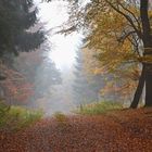 ein wunderschöner Morgen im Herbst