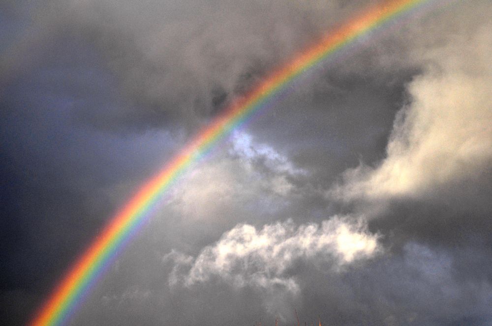 ...ein wunderschöner Regenbogen..... Foto & Bild | naturereignisse, die