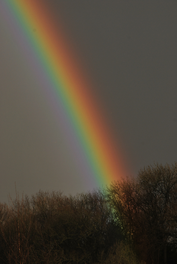 ein wunderschöner regenbogen...